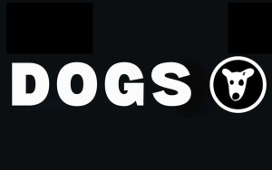 1600-1000-24
