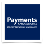 Payments-Intelligence-Logo-Withe-Boxes-Template-way2pay-93