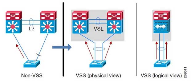 شکل 2-1 یک سیستم VSS با سوئیچ Catalyst 6500 را نشان می‌دهد.